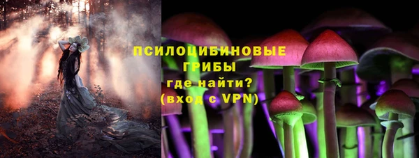 прущие крисы Алзамай