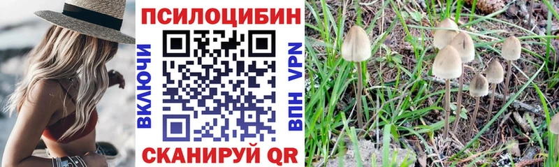 Галлюциногенные грибы ЛСД  Феодосия 